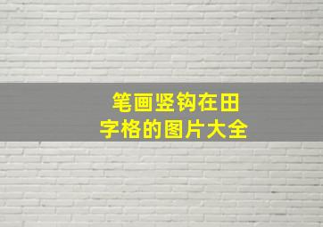 笔画竖钩在田字格的图片大全