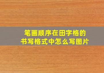 笔画顺序在田字格的书写格式中怎么写图片