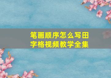 笔画顺序怎么写田字格视频教学全集