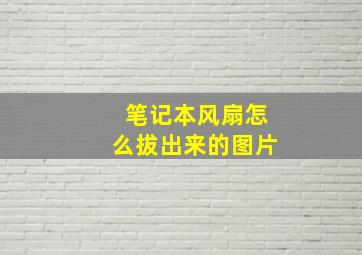 笔记本风扇怎么拔出来的图片