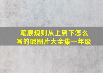 笔顺规则从上到下怎么写的呢图片大全集一年级