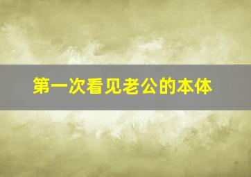 第一次看见老公的本体