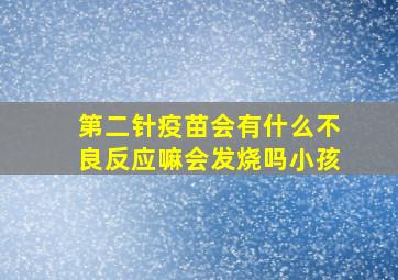 第二针疫苗会有什么不良反应嘛会发烧吗小孩