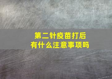 第二针疫苗打后有什么注意事项吗