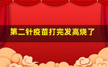 第二针疫苗打完发高烧了