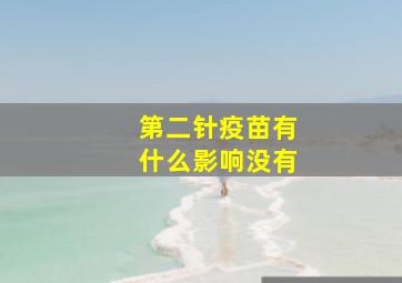 第二针疫苗有什么影响没有