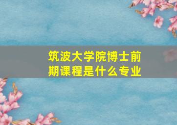 筑波大学院博士前期课程是什么专业