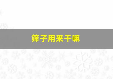 筛子用来干嘛