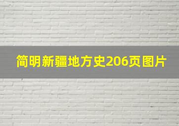 简明新疆地方史206页图片