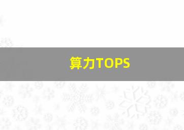 算力TOPS