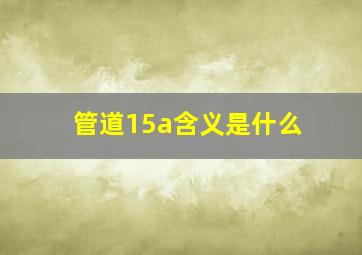 管道15a含义是什么