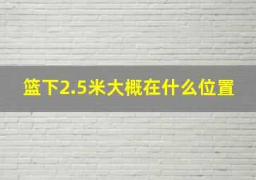 篮下2.5米大概在什么位置