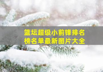 篮坛超级小前锋排名榜名单最新图片大全