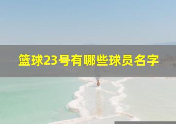 篮球23号有哪些球员名字