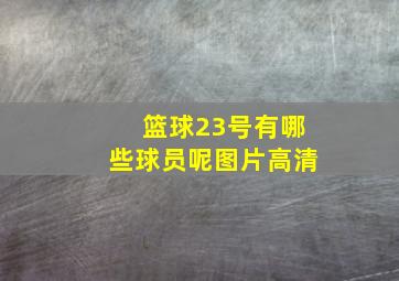 篮球23号有哪些球员呢图片高清