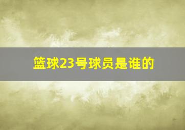 篮球23号球员是谁的