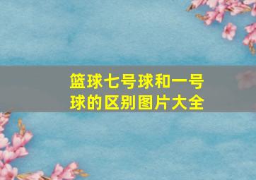 篮球七号球和一号球的区别图片大全