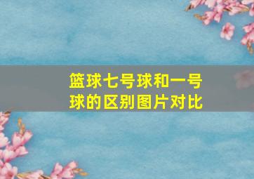 篮球七号球和一号球的区别图片对比