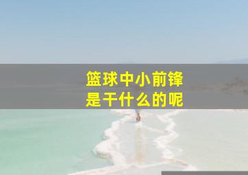 篮球中小前锋是干什么的呢