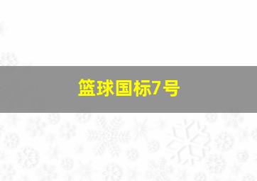 篮球国标7号