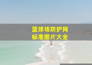 篮球场防护网标准图片大全