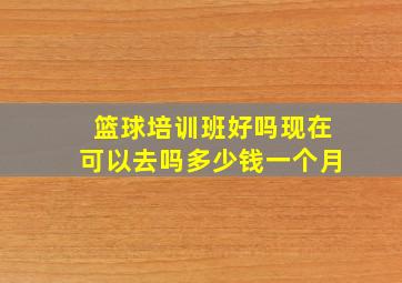 篮球培训班好吗现在可以去吗多少钱一个月