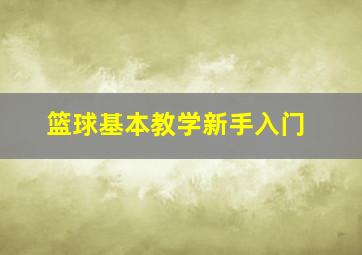 篮球基本教学新手入门