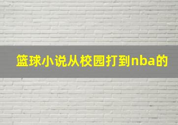 篮球小说从校园打到nba的