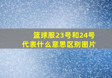 篮球服23号和24号代表什么意思区别图片