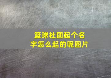 篮球社团起个名字怎么起的呢图片