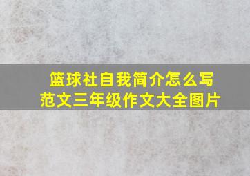 篮球社自我简介怎么写范文三年级作文大全图片