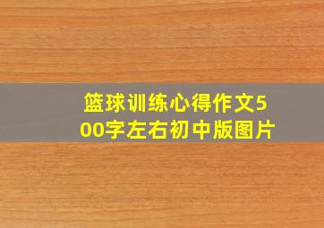 篮球训练心得作文500字左右初中版图片