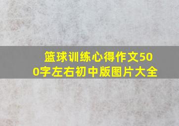 篮球训练心得作文500字左右初中版图片大全