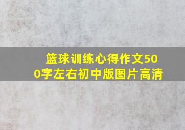 篮球训练心得作文500字左右初中版图片高清