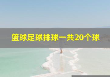 篮球足球排球一共20个球