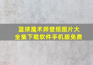 篮球魔术师壁纸图片大全集下载软件手机版免费