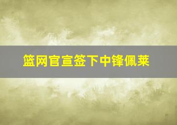 篮网官宣签下中锋佩莱