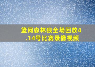 篮网森林狼全场回放4.14号比赛录像视频