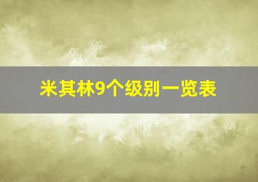 米其林9个级别一览表