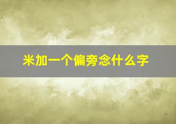 米加一个偏旁念什么字