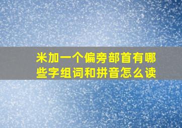 米加一个偏旁部首有哪些字组词和拼音怎么读