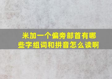 米加一个偏旁部首有哪些字组词和拼音怎么读啊