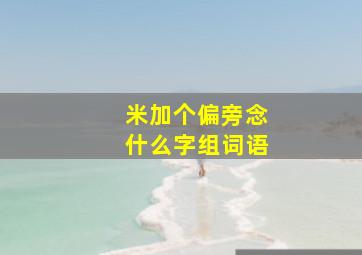 米加个偏旁念什么字组词语