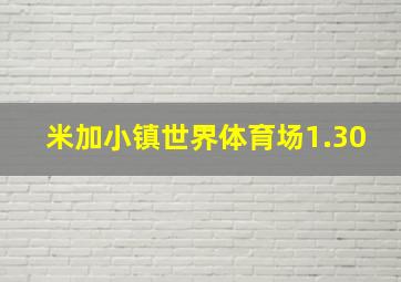 米加小镇世界体育场1.30