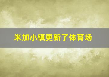 米加小镇更新了体育场