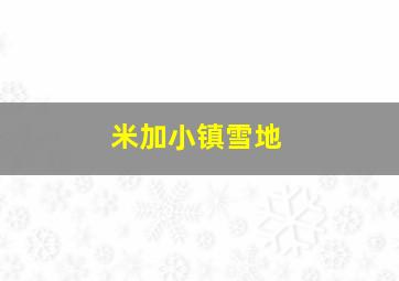 米加小镇雪地