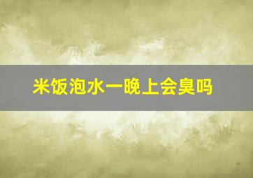 米饭泡水一晚上会臭吗