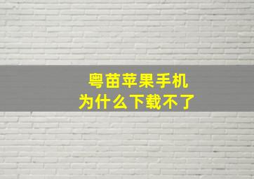 粤苗苹果手机为什么下载不了