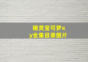 精灵宝可梦xy全集目录图片