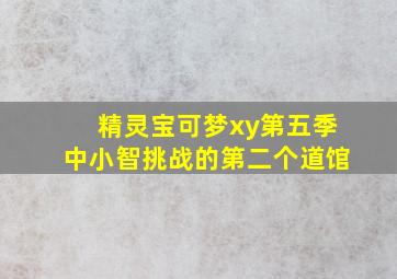 精灵宝可梦xy第五季中小智挑战的第二个道馆